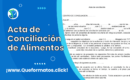 Formato de Acta de Conciliación de Alimentos: Modelo y Guia de Redacción