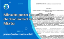 Formato de Constitución de Sociedad de Economía Mixta