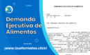 Formato de Demanda Ejecutiva de Alimentos: Guía y Modelo Word