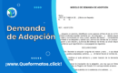 Formato de Demanda de Adopción: Guía y Ejemplo en Word