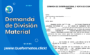 Formato de Demanda de División Material: Ejemplo en Word