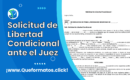 Formato de Solicitud de Libertad Condicional ante el Juez de Ejecución de Penas