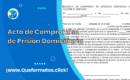 Formato de Acta de Compromiso de Prisión Domiciliaria: Word/PDF