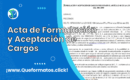 Formato de Acta de Formulación y Aceptación de Cargos