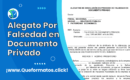 Formato de Alegato Por Falsedad en Documento Privado: Word o PDF
