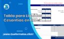 Formato de Tabla para Liquidar Cesantías en Excel