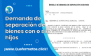 Formato de Demanda de separación de bienes con o sin hijos