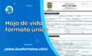 Hoja de vida formato único en Word o PDF | Persona Natural y Jurídica