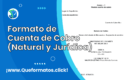 Formato de Cuenta de Cobro (Natural y Jurídica) Word