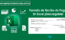 Formato de Recibo de Pago en Excel