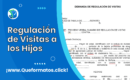 Formato de Demanda de Regulación de Visitas a los Hijos (Word)