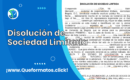 Formato de Disolución de Sociedad Limitada: Guía y Modelo en Word