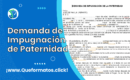Formato de Demanda de Impugnación de Paternidad Word/PDF