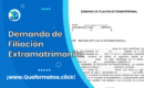 Formato de Demanda de Filiación Extramatrimonial (Modelo Word/PDF)