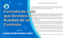 Formato de Auto que Declara la Nulidad de un Contrato