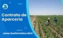 Formato de Contrato de Aparcería: Modelo Word y PDF