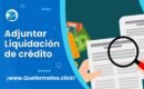 Formato de Memorial para Adjuntar Liquidación, Modelo Word