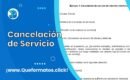 Formato de Carta de Cancelación de Servicio: Modelo de Documento esencial