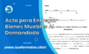 Formato de Acta de Entrega de Bienes Muebles a la Parte Demandada