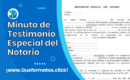 Formato de Testimonio Especial del Notario: Uso, Guía y Modelo