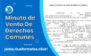 Formato de Venta De Derechos Comunes: Guía Completa para su uso y Modelo