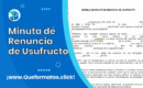 Formato de Minuta de Renuncia de Usufructo: Modelo Simple