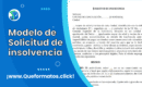 Formato de Solicitud de Insolvencia (Conciliación o Notaria)