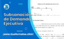 Formato de Subsanación de Demanda Ejecutiva: Modelo y Guia